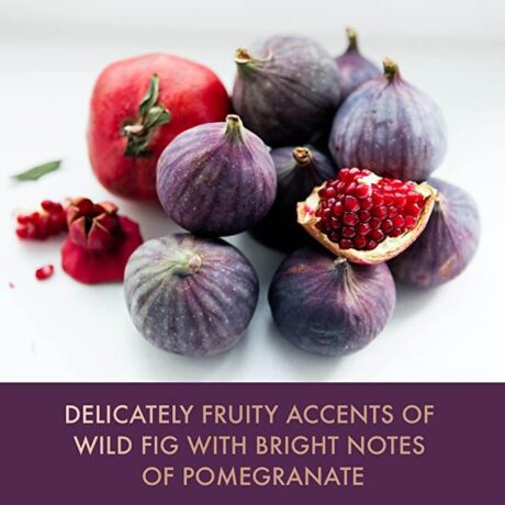 COMPRESSED BH Wild fig and pomegranate (1)